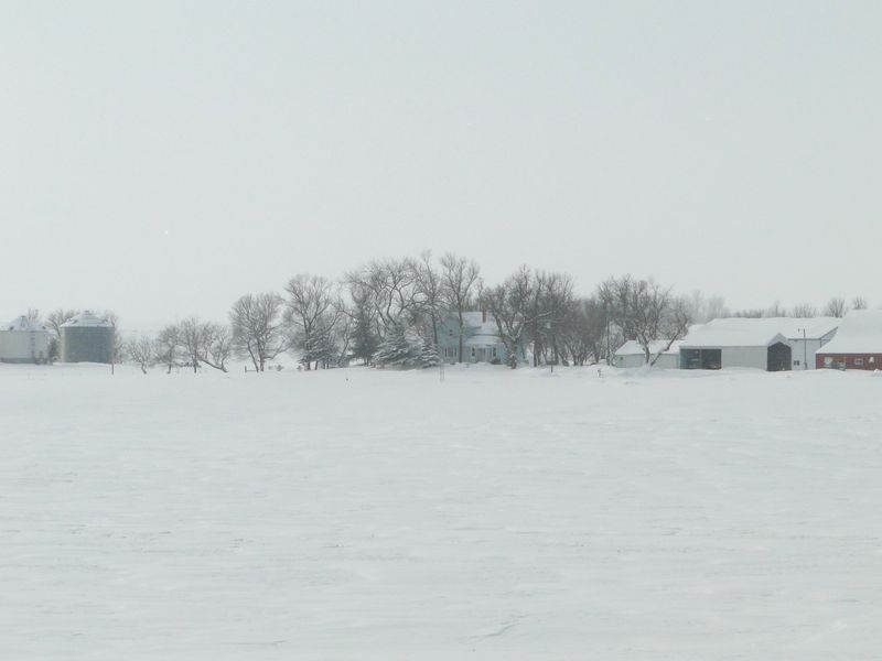 Near Paulson Homestead