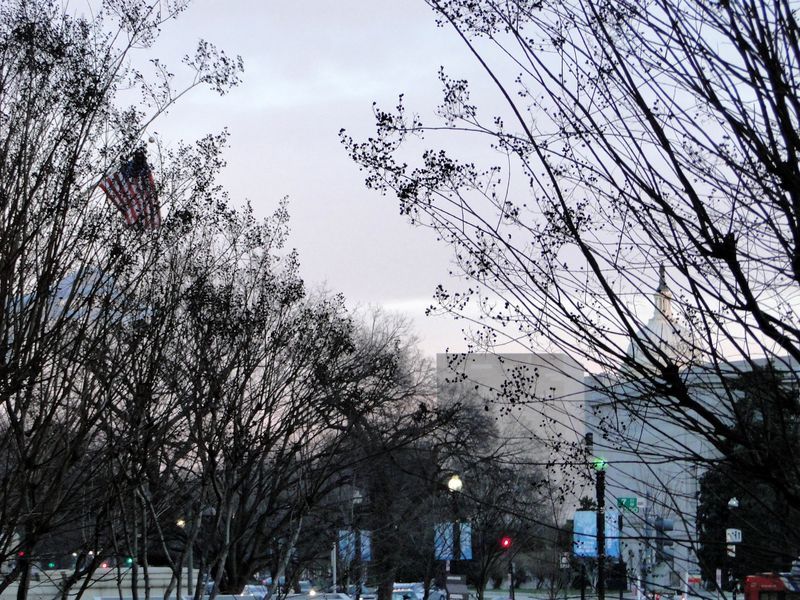 Branches
