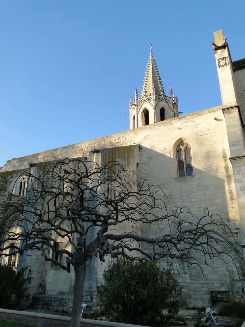 Winter Avignon